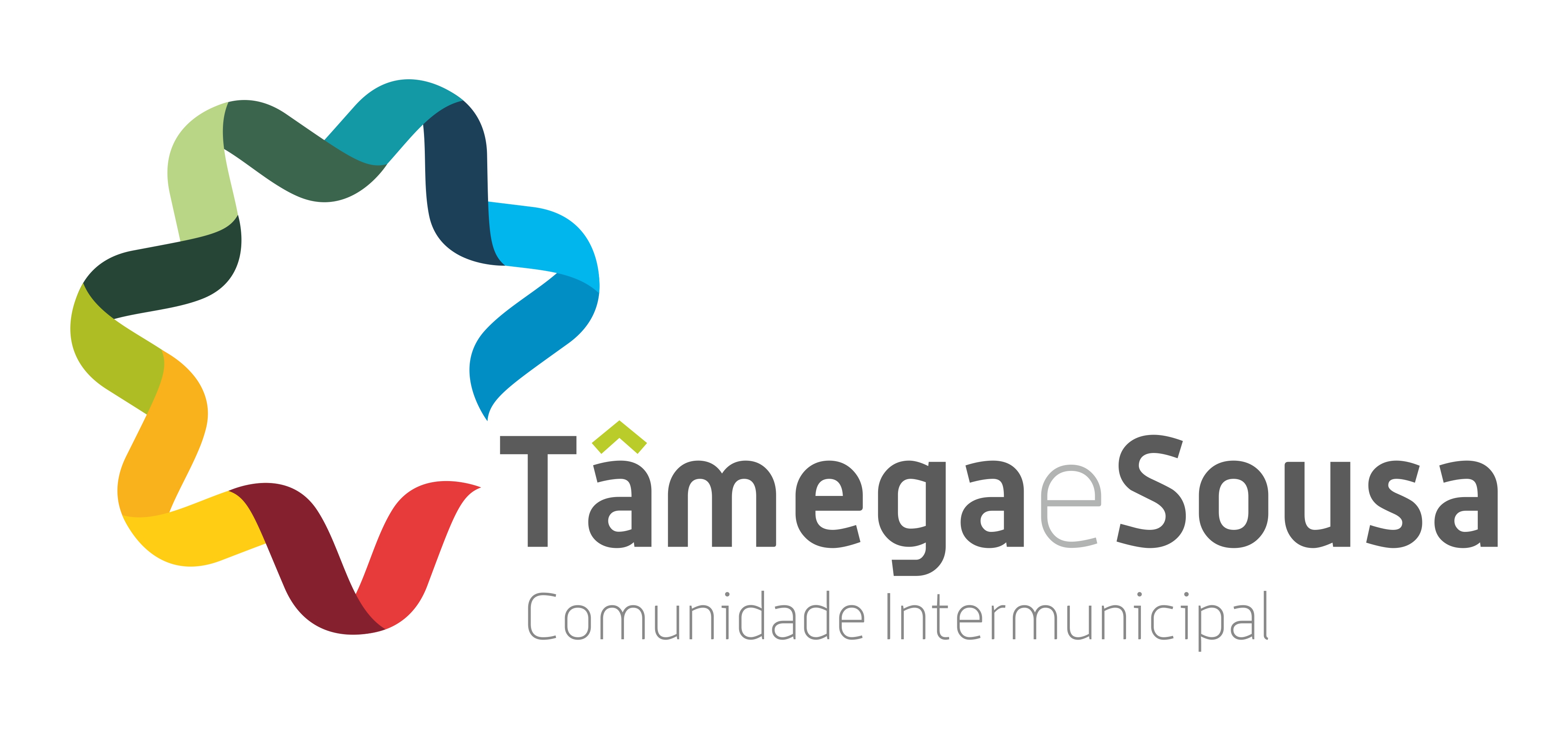 Comunidade Intermunicipal Tâmega e Sousa